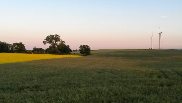 Abendstimmung bei Halskov auf Falster